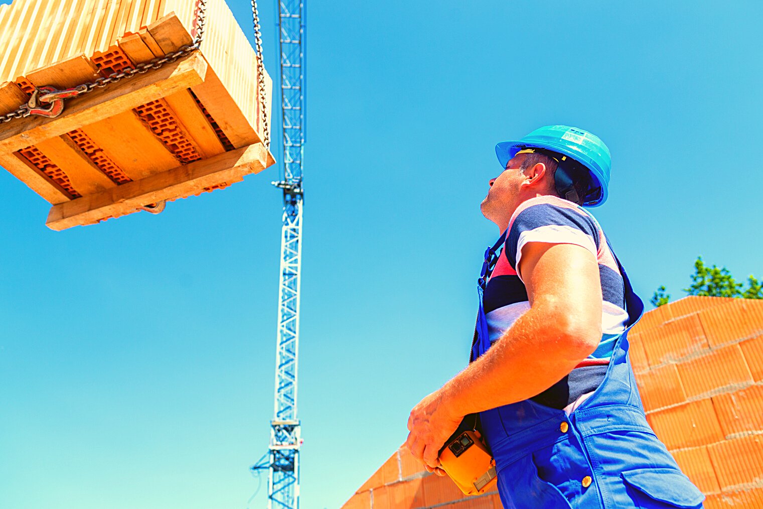 Crane Deliver Pallet Bricks